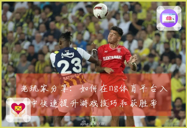 老玩家分享：如何在ng体育平台入口中快速提升游戏技巧和获胜率